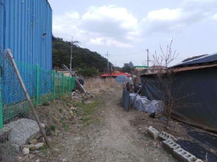 평창군 봉평면 면온리 전 경매 물건 사진