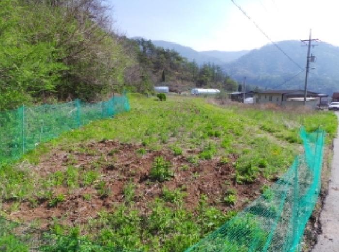 영월군 북면 공기리 전 경매 물건 사진