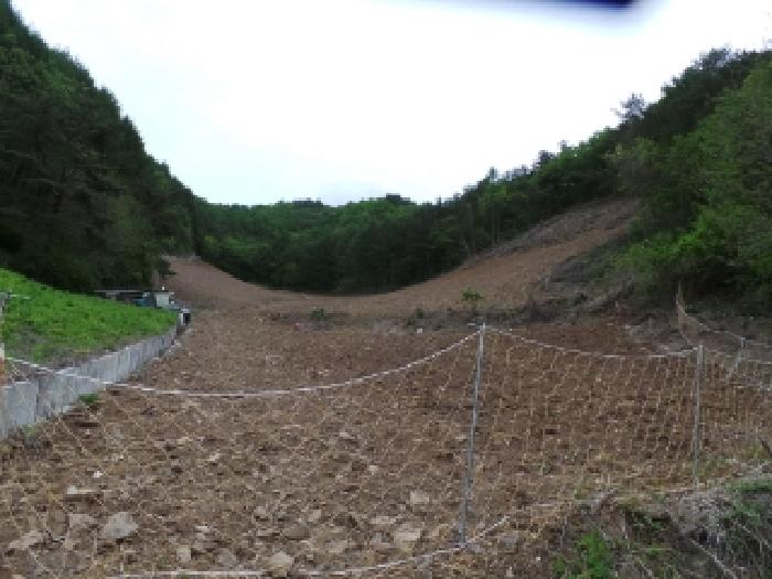 정선군 사북읍 직전리 전 경매 물건 사진
