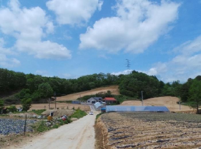 평창군 대관령면 용산리 임야 경매 물건 사진