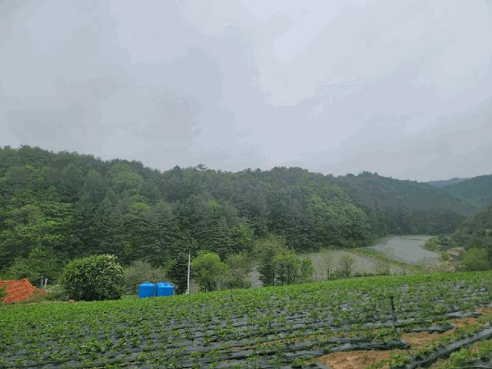 평창군 진부면 상월오개리 전 경매 물건 사진