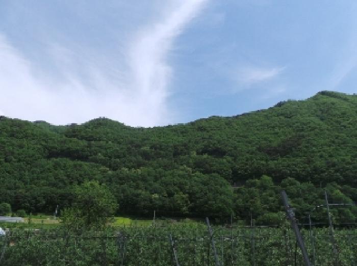 정선군 화암면 화암리 임야 경매 물건 사진