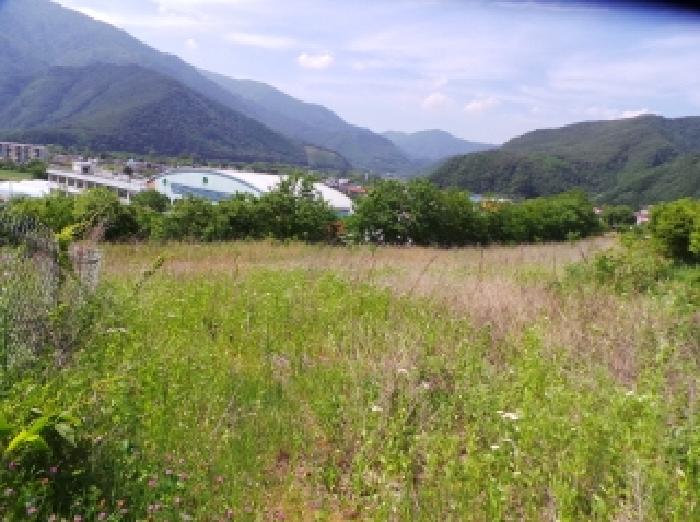 정선군 여량면 여량리 전 경매 물건 사진