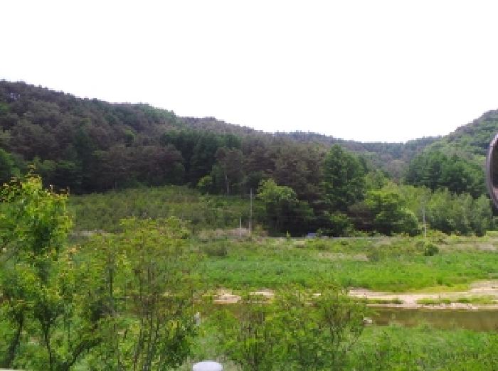 평창군 대관령면 수하리 임야 경매 물건 사진