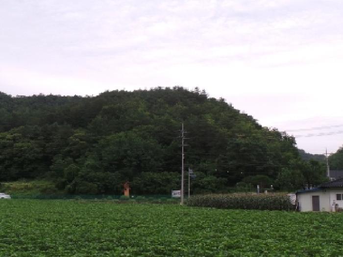 영월군 남면 북쌍리 임야 경매 물건 사진