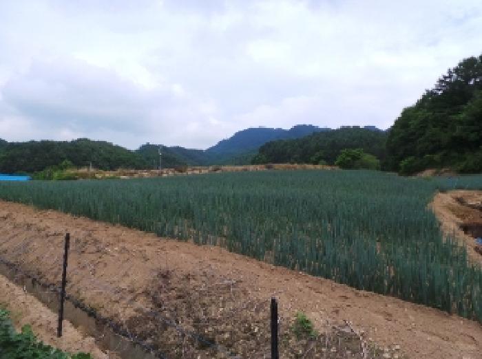 평창군 진부면 송정리 전 경매 물건 사진