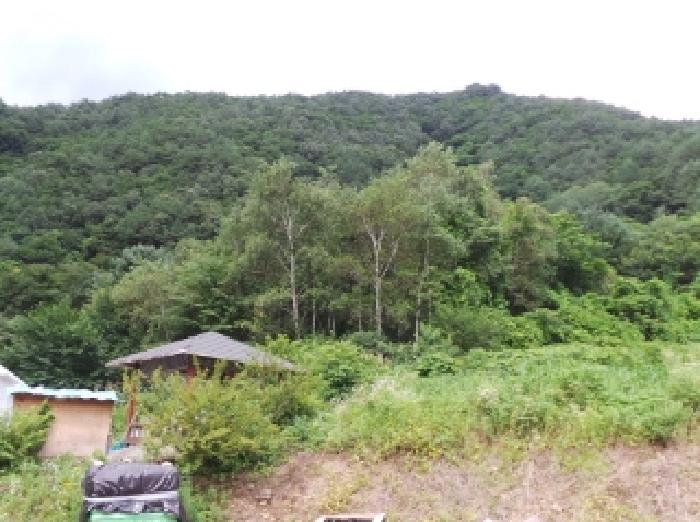 평창군 평창읍 뇌운리 전 경매 물건 사진