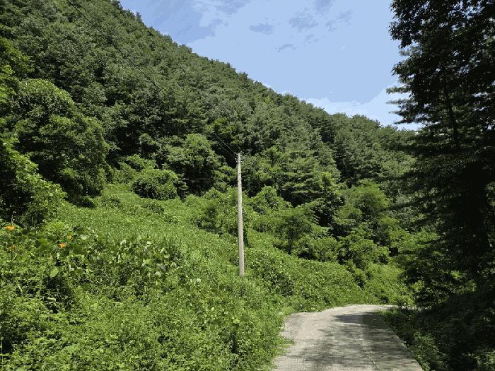 정선군 북평면 나전리 전 경매 물건 사진