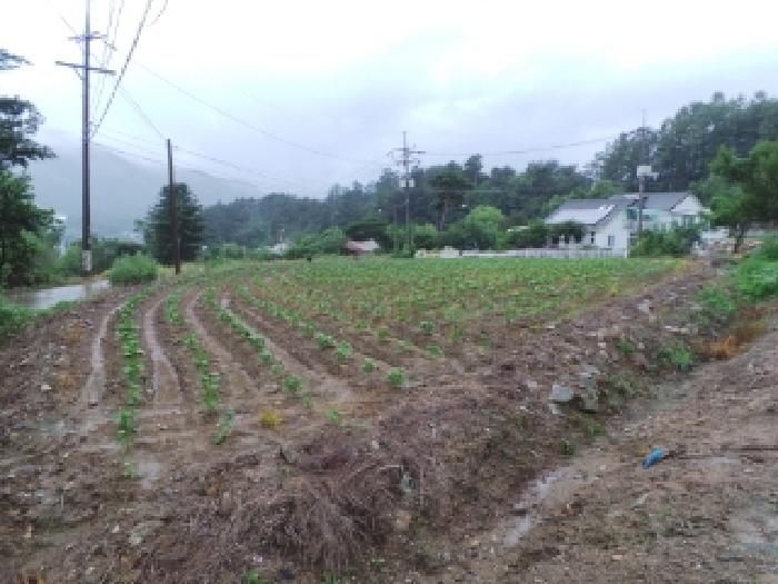 평창군 용평면 재산리 전 경매 물건 사진
