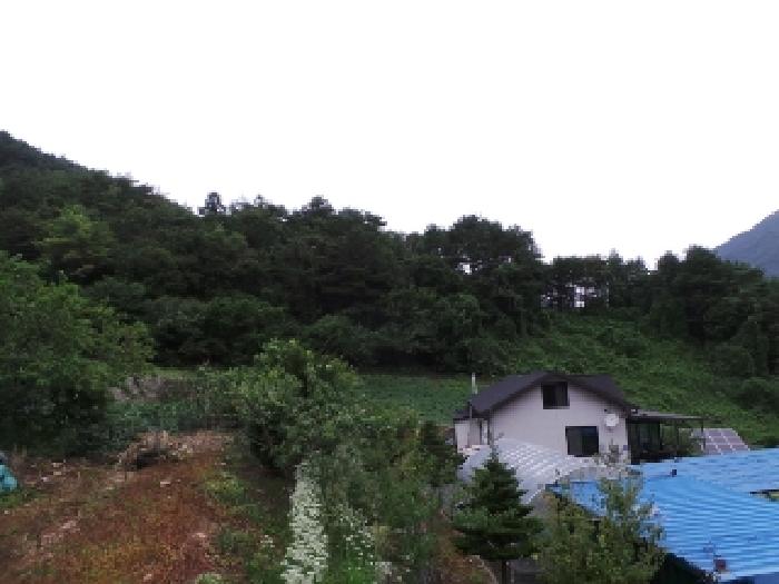 평창군 대화면 상안미리 전 경매 물건 사진