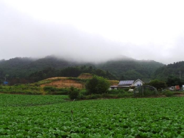 평창군 봉평면 원길리 임야 경매 물건 사진