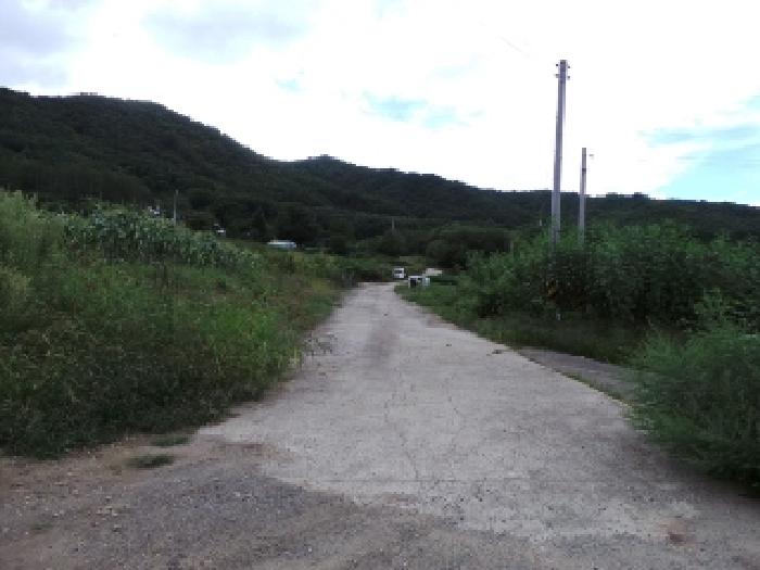 평창군 봉평면 유포리 전 경매 물건 사진