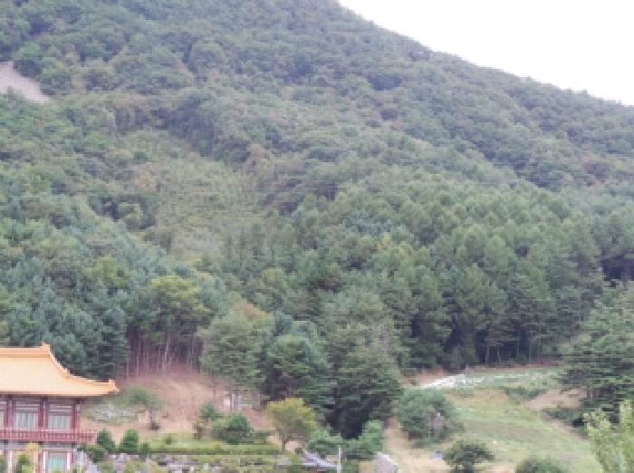 평창군 진부면 하진부리 전답 경매 물건 사진