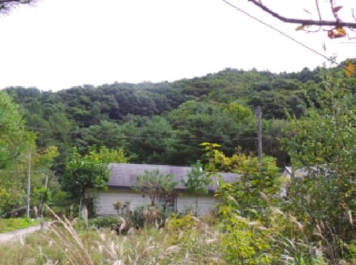 평창군 봉평면 무이리 임야 경매 물건 사진