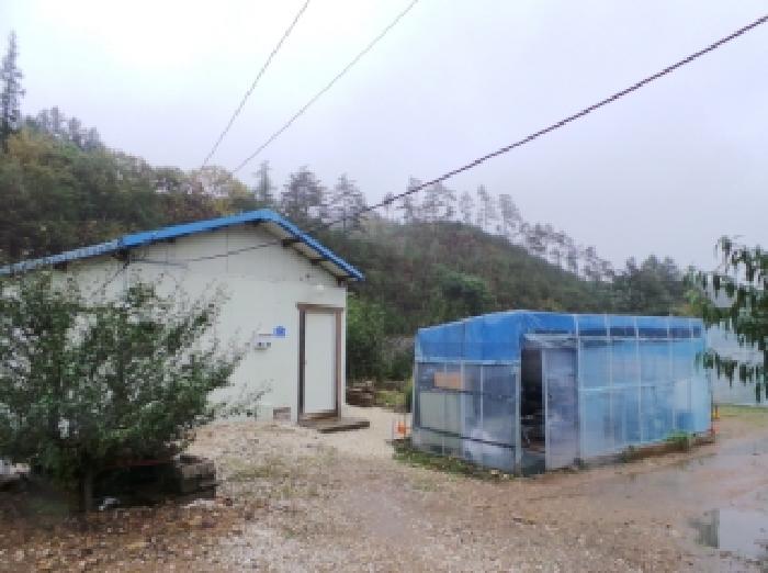 정선군 임계면 직원리 전답 경매 물건 사진