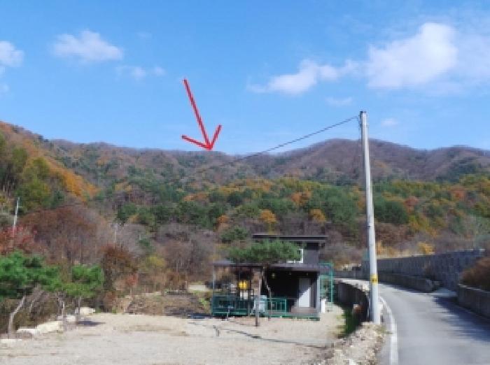 평창군 봉평면 흥정리 임야 경매 물건 사진