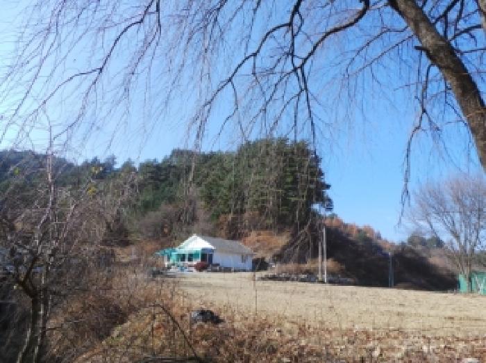 평창군 용평면 노동리 대지,임야,전답 경매 물건 사진