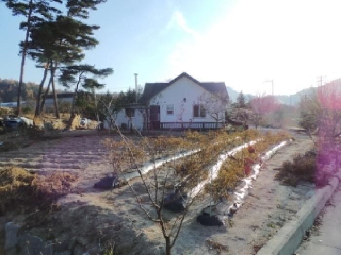 평창군 진부면 송정리 단독주택다가구 경매 물건 사진