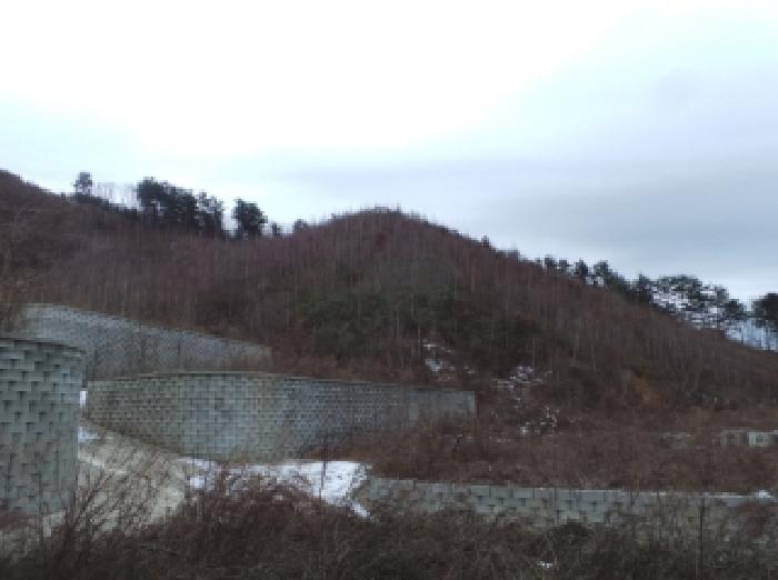 평창군 봉평면 면온리 임야 경매 물건 사진