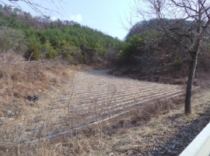 영월군 영월읍 삼옥리 전 경매 물건 사진