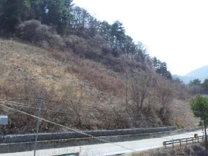 정선군 남면 무릉리 전 경매 물건 사진