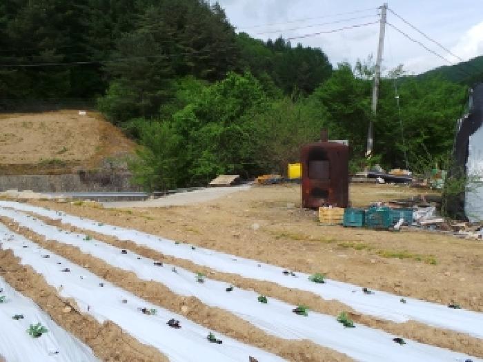 평창군 용평면 도사리 단독주택 경매 물건 사진