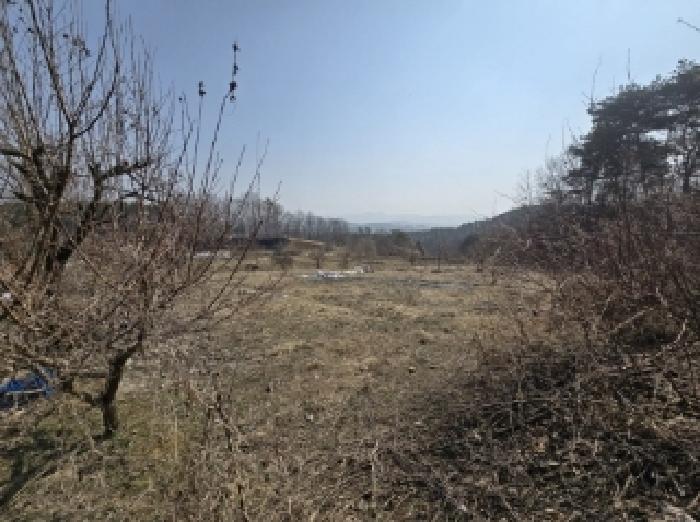 청주시 상당구 남일면 전 경매 물건 사진