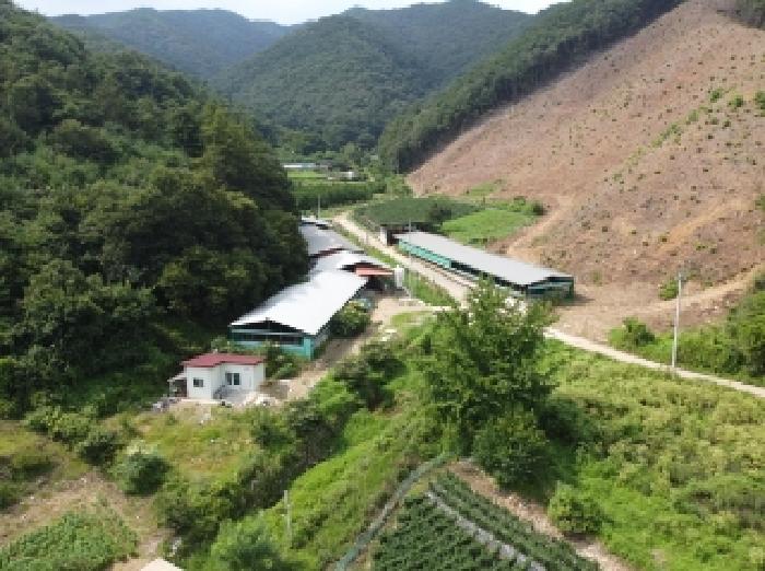 청주시 상당구 미원면 동물및식물관련시설 경매 물건 사진
