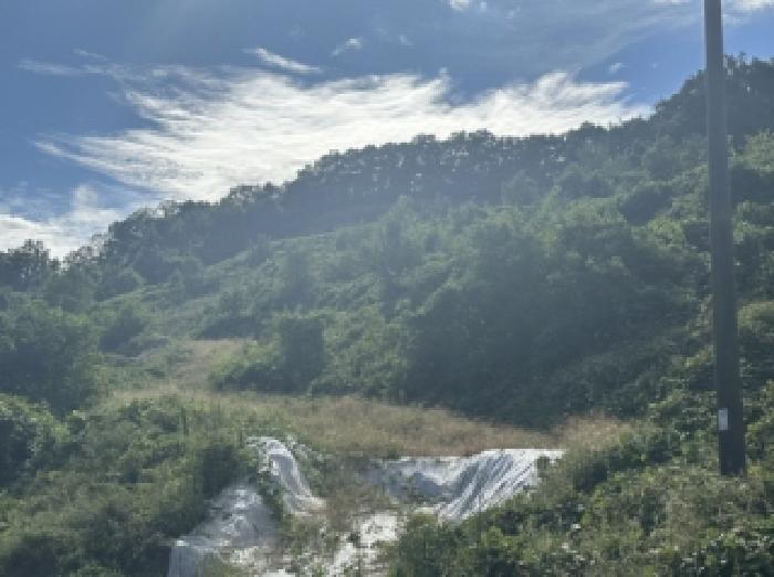 괴산군 괴산읍 신기리 임야 경매 물건 사진