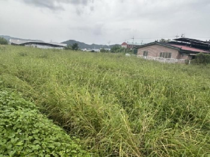 청주시 청원구 북이면 답 경매 물건 사진