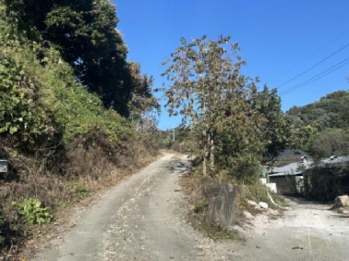 괴산군 장연면 장암리 전 경매 물건 사진