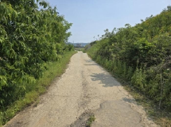 청주시 상당구 가덕면 임야 경매 물건 사진