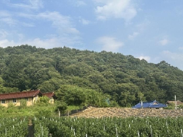 괴산군 청안면 운곡리 전 경매 물건 사진