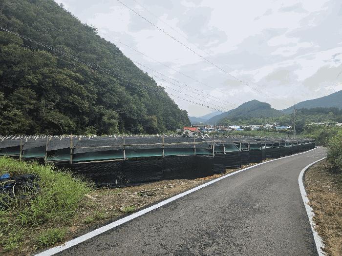 보은군 산외면 산대리 전 경매 물건 사진