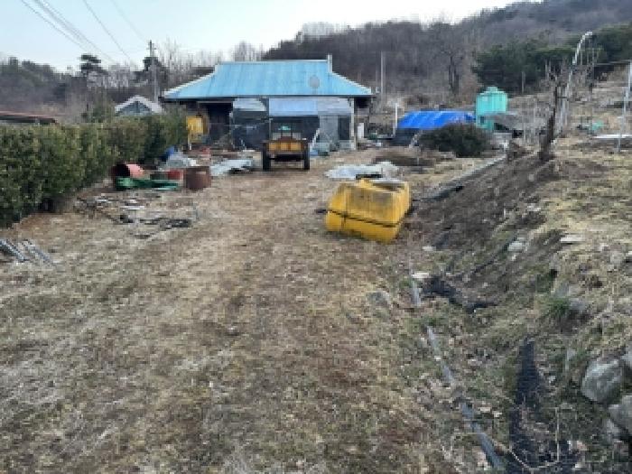 보은군 보은읍 노티리 대지 경매 물건 사진