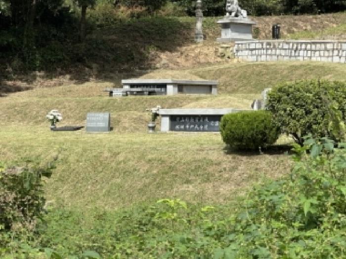 증평군 도안면 석곡리 전 경매 물건 사진