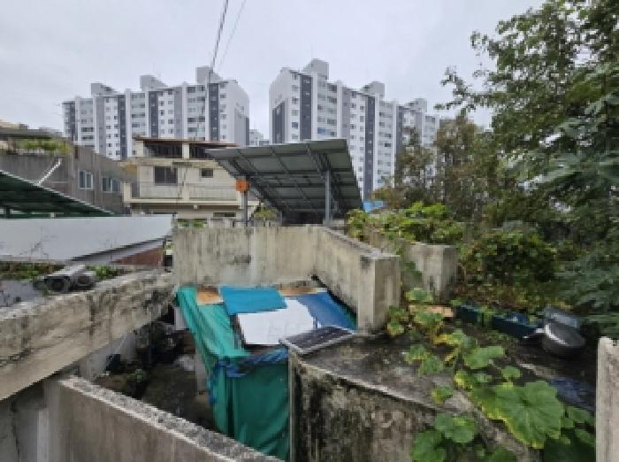 청주시 상당구 대성동 단독주택 경매 물건 사진