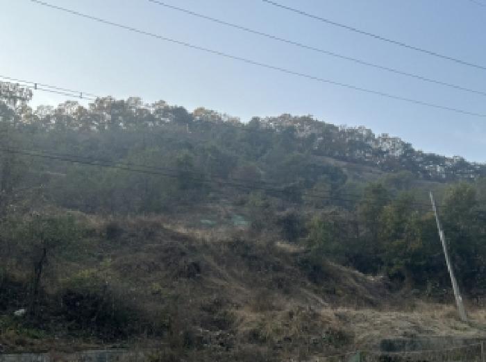 괴산군 괴산읍 신기리 임야 경매 물건 사진