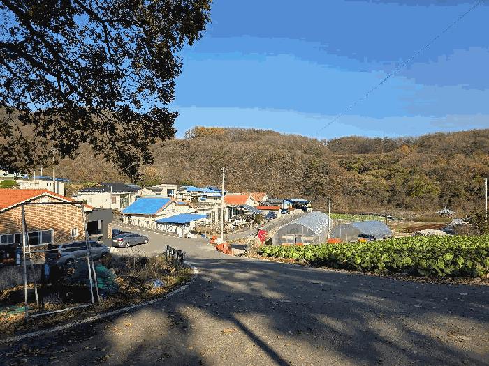 괴산군 청천면 금평리 도로 경매 물건 사진