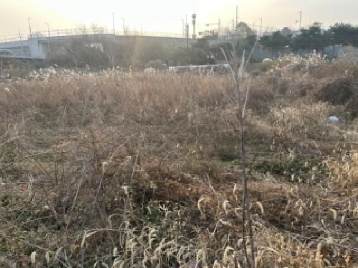 증평군 증평읍 초중리 답 경매 물건 사진