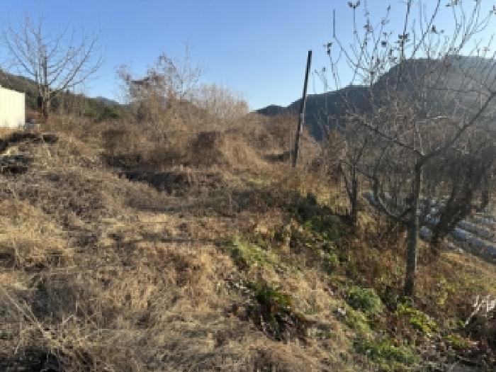 괴산군 청천면 지촌리 답 경매 물건 사진