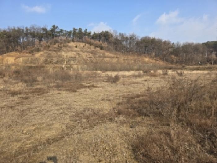 청주시 흥덕구 옥산면 답 경매 물건 사진