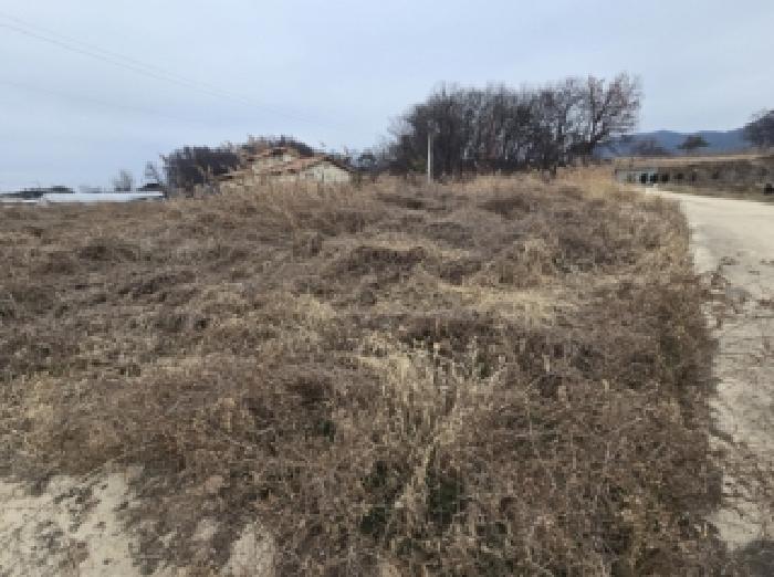 진천군 덕산읍 구산리 답 경매 물건 사진