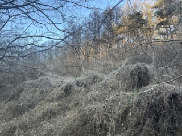 청주시 상당구 미원면 전 경매 물건 사진