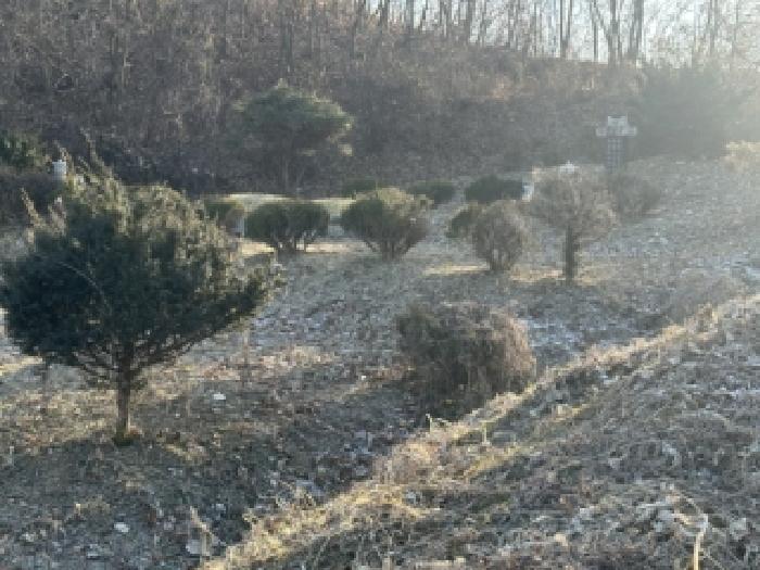 괴산군 문광면 문법리 전 경매 물건 사진