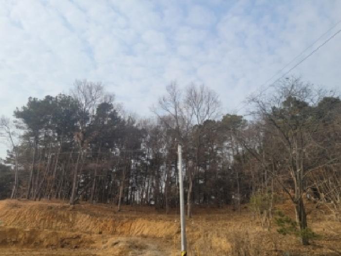 청주시 흥덕구 동막동 임야 경매 물건 사진