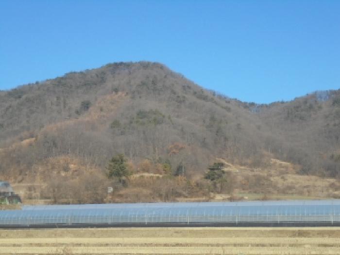 청주시 흥덕구 옥산면 임야 경매 물건 사진