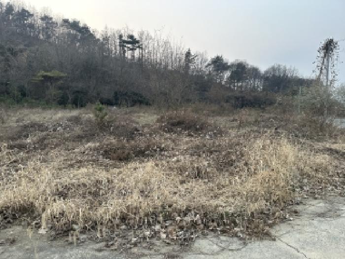 괴산군 칠성면 두천리 도로 경매 물건 사진