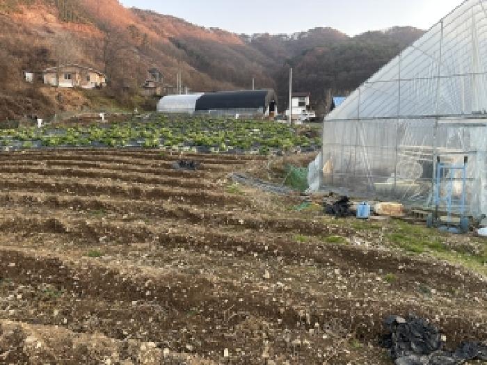 괴산군 문광면 옥성리 전 경매 물건 사진