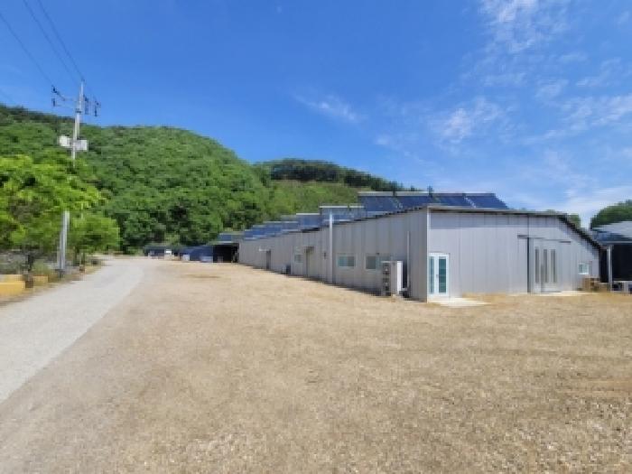 괴산군 청천면 귀만리 답 경매 물건 사진